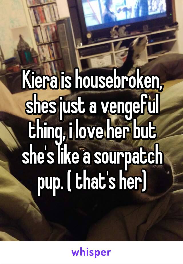 Kiera is housebroken, shes just a vengeful thing, i love her but she's like a sourpatch pup. ( that's her)