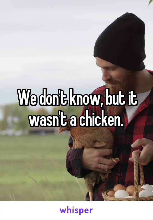 We don't know, but it wasn't a chicken. 