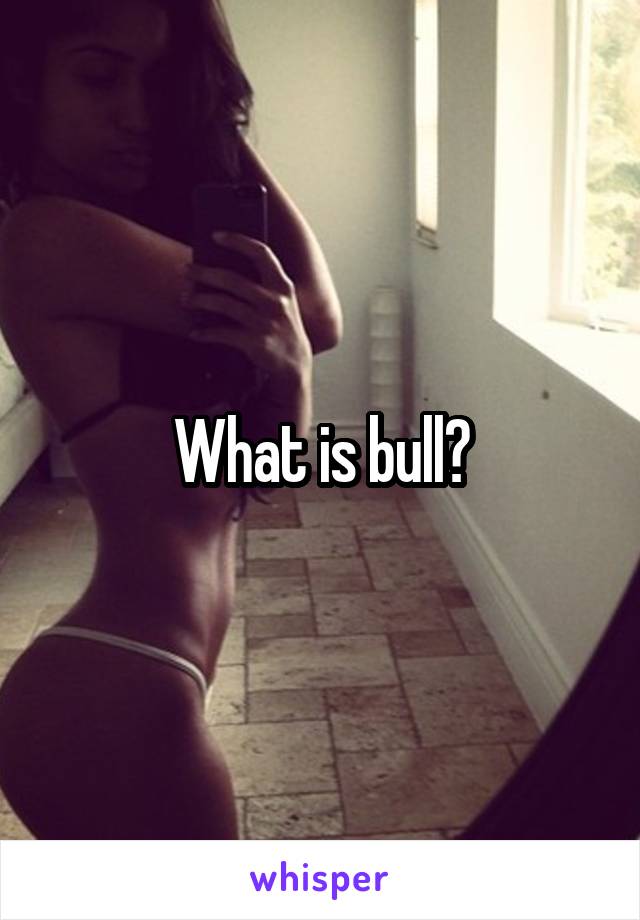 What is bull?