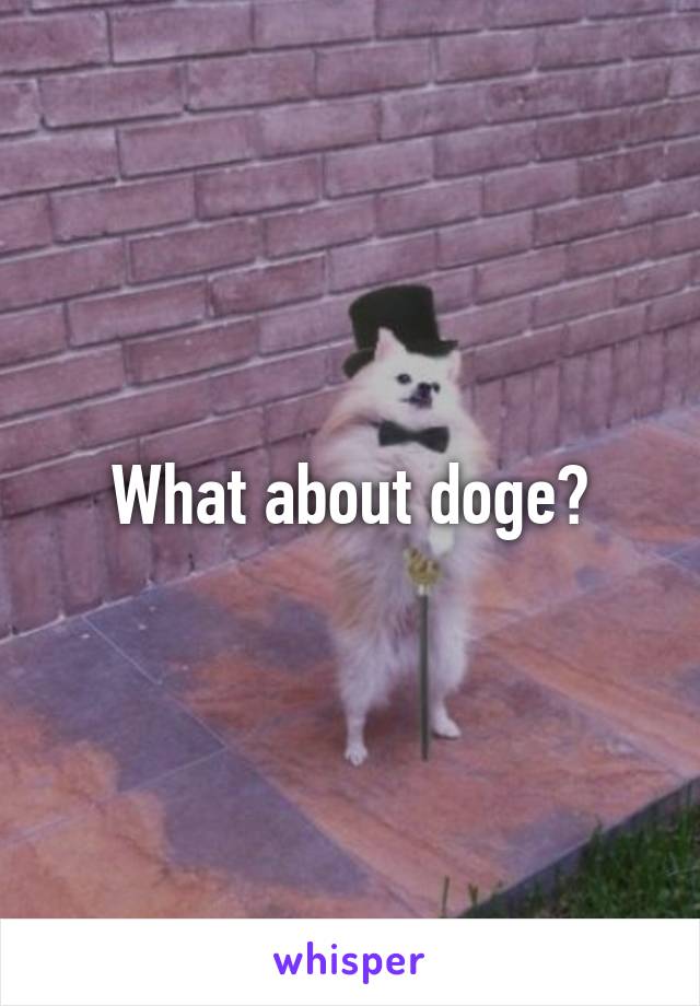 What about doge?