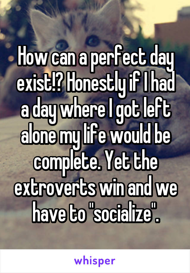 How can a perfect day exist!? Honestly if I had a day where I got left alone my life would be complete. Yet the extroverts win and we have to "socialize".