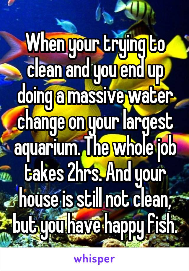 When your trying to clean and you end up doing a massive water change on your largest aquarium. The whole job takes 2hrs. And your house is still not clean, but you have happy fish.