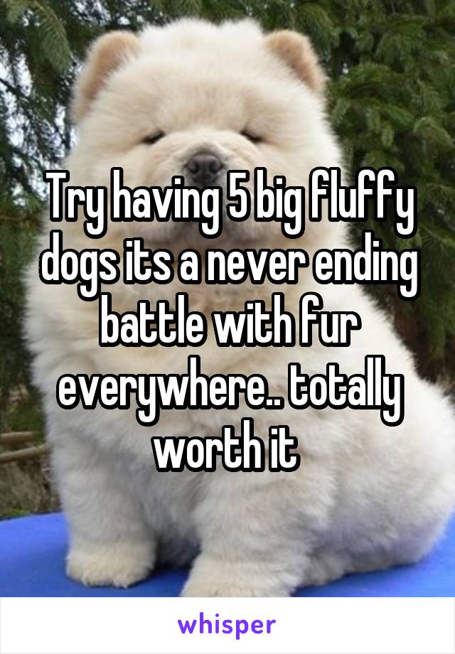 Try having 5 big fluffy dogs its a never ending battle with fur everywhere.. totally worth it 