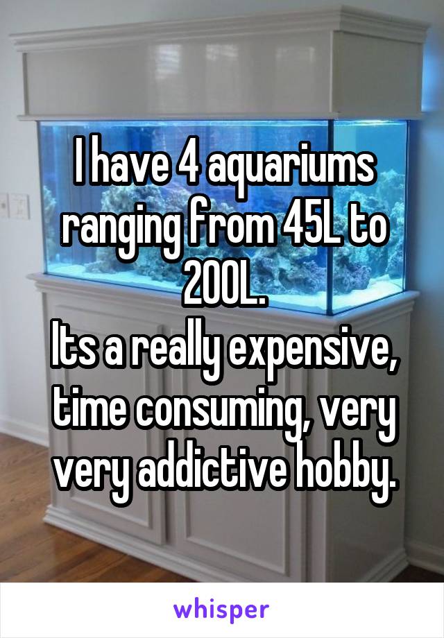 I have 4 aquariums ranging from 45L to 200L.
Its a really expensive, time consuming, very very addictive hobby.