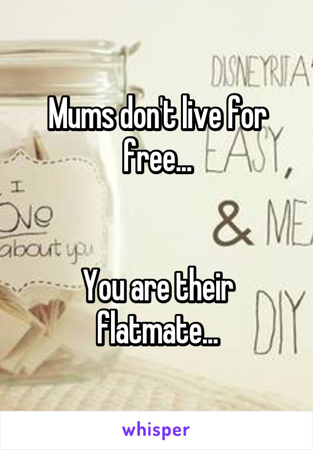 Mums don't live for free...


You are their flatmate...