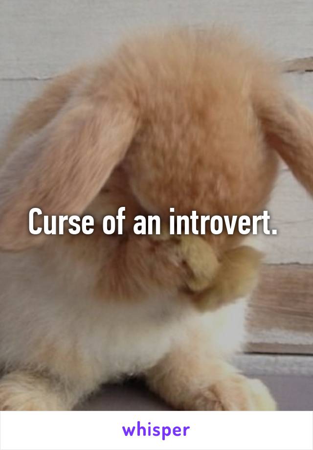 Curse of an introvert. 