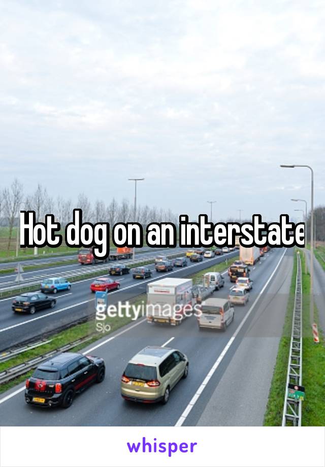 Hot dog on an interstate