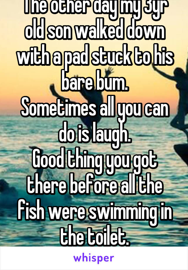 The other day my 3yr old son walked down with a pad stuck to his bare bum.
Sometimes all you can do is laugh.
Good thing you got there before all the fish were swimming in the toilet.
Lol