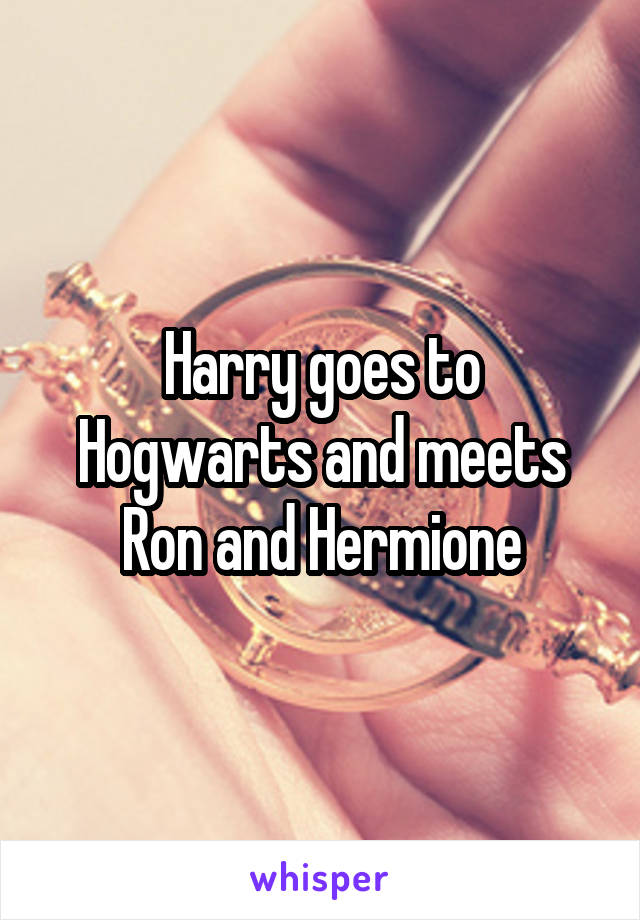 Harry goes to Hogwarts and meets Ron and Hermione