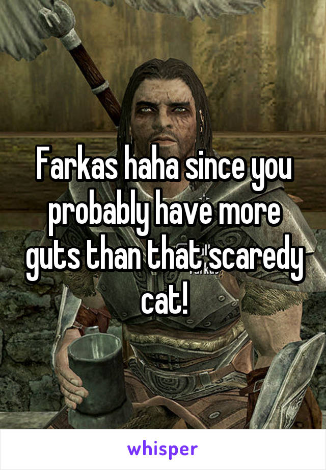 Farkas haha since you probably have more guts than that scaredy cat!