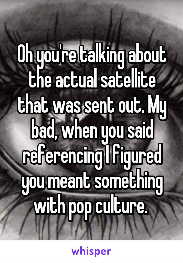 Oh you're talking about the actual satellite that was sent out. My bad, when you said referencing I figured you meant something with pop culture. 