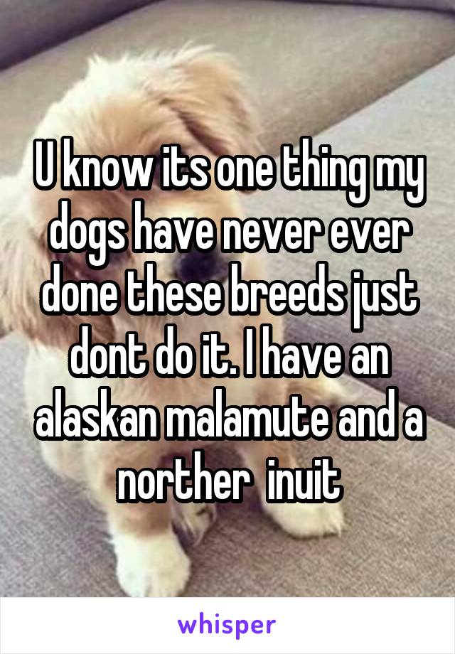 U know its one thing my dogs have never ever done these breeds just dont do it. I have an alaskan malamute and a norther  inuit