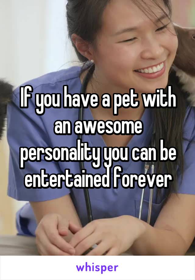 If you have a pet with an awesome personality you can be entertained forever
