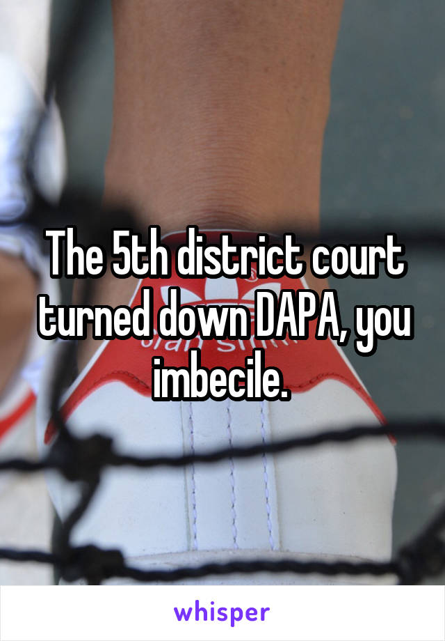 The 5th district court turned down DAPA, you imbecile. 