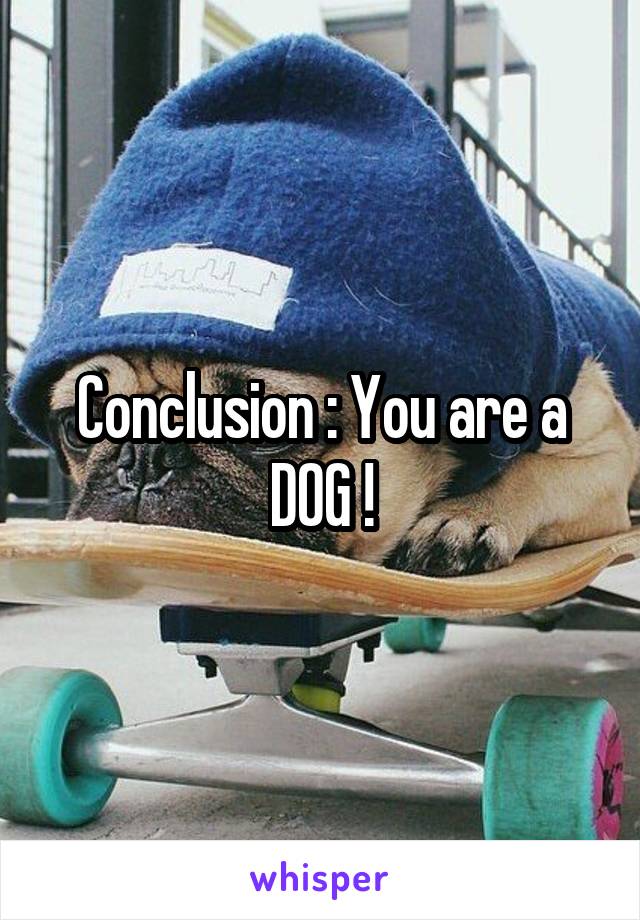 Conclusion : You are a DOG !