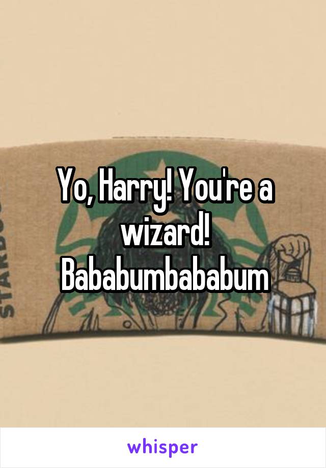 Yo, Harry! You're a wizard! Bababumbababum