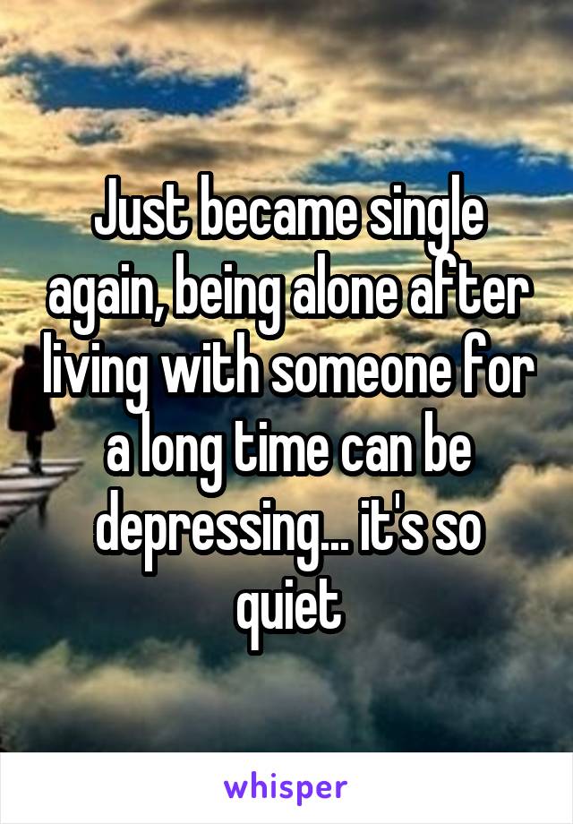 Just became single again, being alone after living with someone for a long time can be depressing... it's so quiet