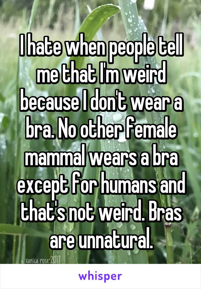 I hate when people tell me that I'm weird because I don't wear a bra. No other female mammal wears a bra except for humans and that's not weird. Bras are unnatural.
