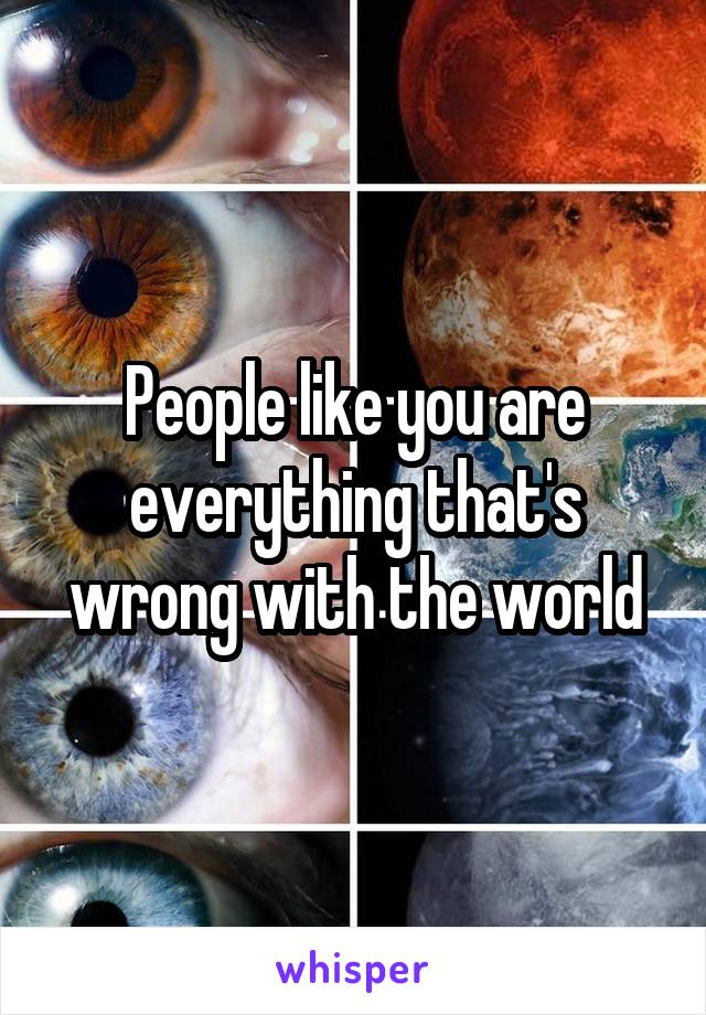 People like you are everything that's wrong with the world