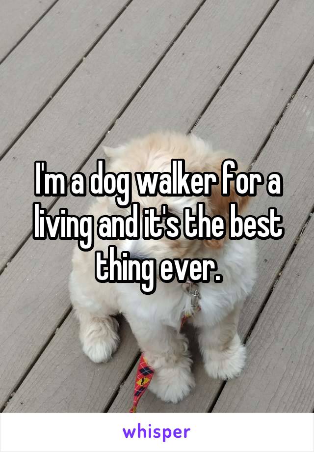 I'm a dog walker for a living and it's the best thing ever.