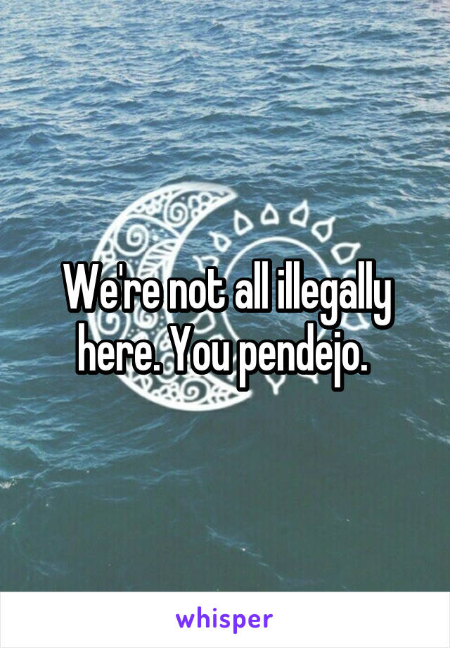 We're not all illegally here. You pendejo. 