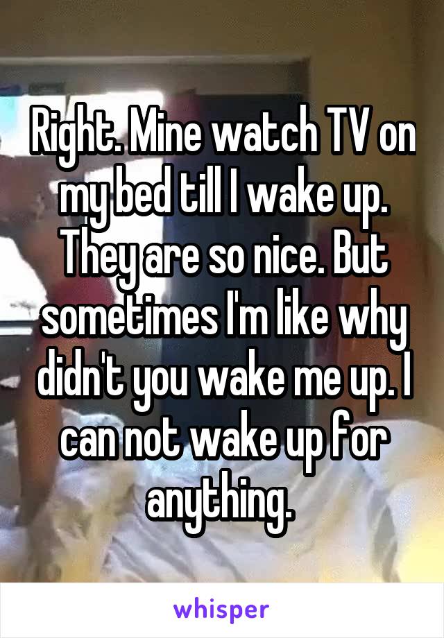 Right. Mine watch TV on my bed till I wake up. They are so nice. But sometimes I'm like why didn't you wake me up. I can not wake up for anything. 