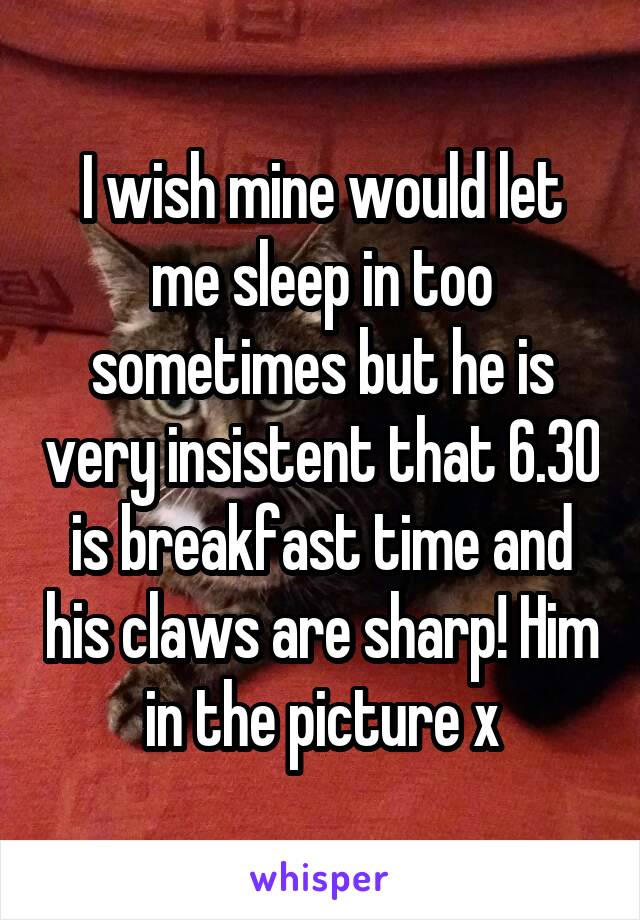 I wish mine would let me sleep in too sometimes but he is very insistent that 6.30 is breakfast time and his claws are sharp! Him in the picture x