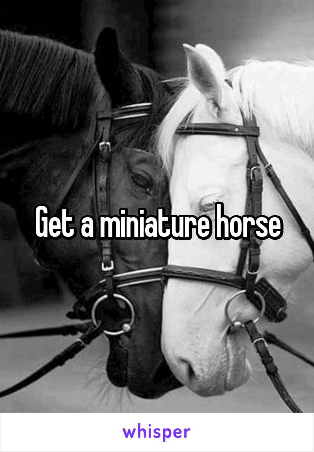 Get a miniature horse