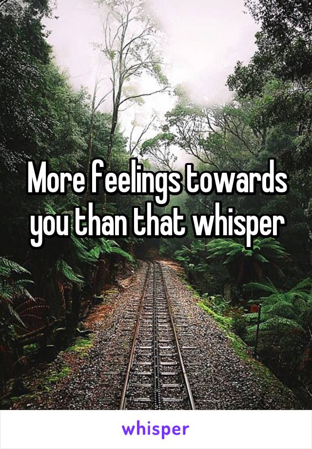 More feelings towards you than that whisper
