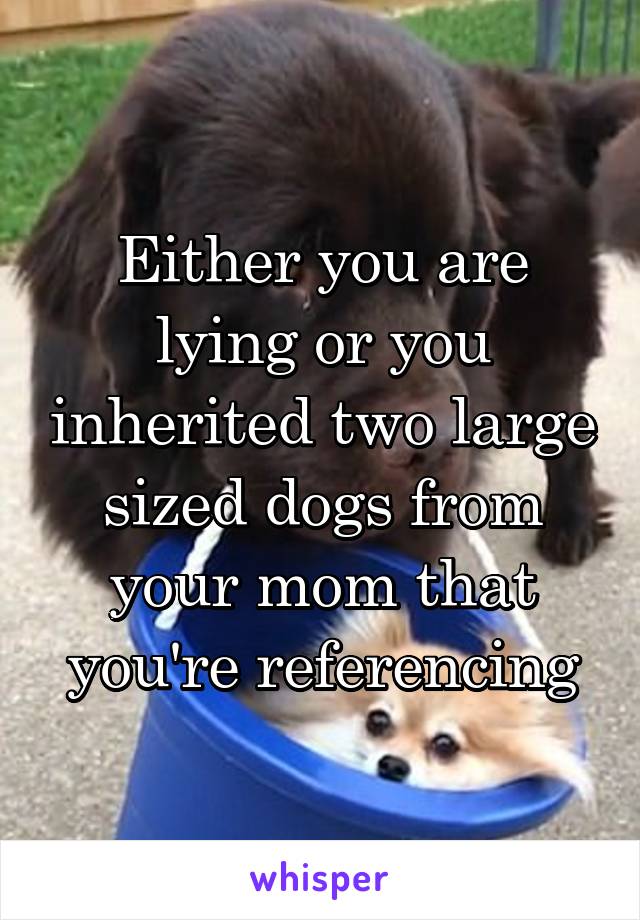 Either you are lying or you inherited two large sized dogs from your mom that you're referencing