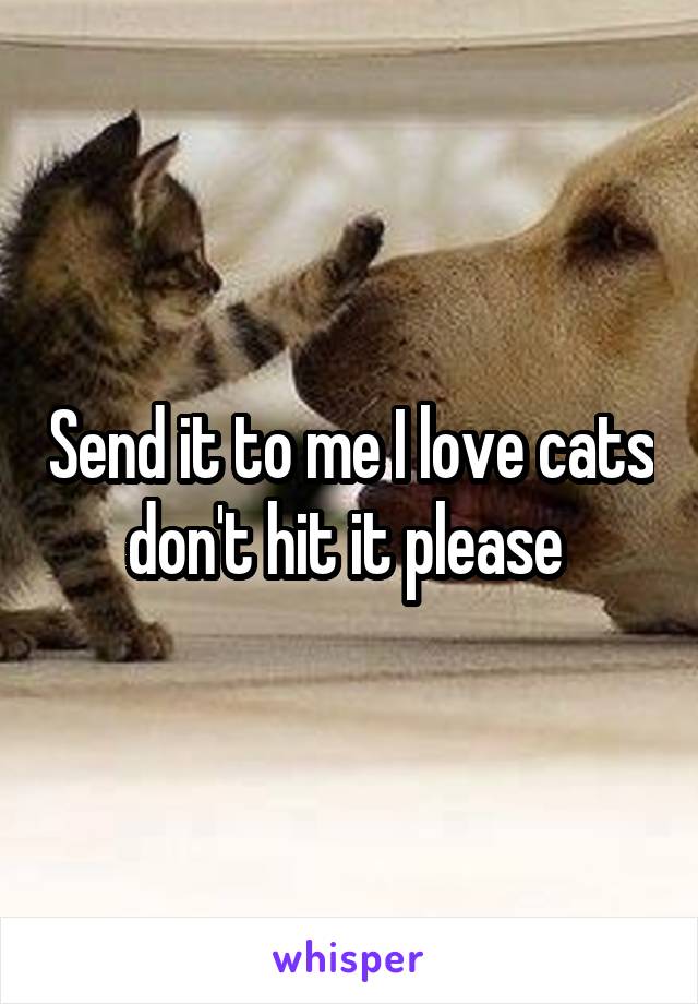Send it to me I love cats don't hit it please 