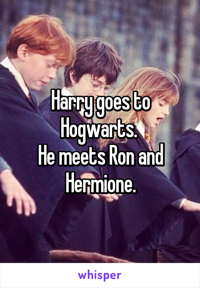 Harry goes to Hogwarts. 
He meets Ron and Hermione.