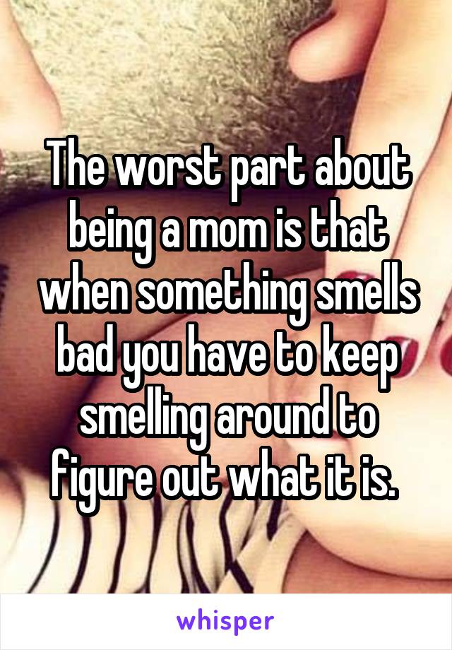 The worst part about being a mom is that when something smells bad you have to keep smelling around to figure out what it is. 