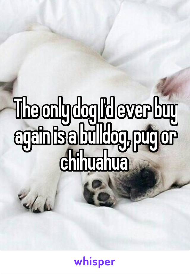 The only dog I'd ever buy again is a bulldog, pug or chihuahua 