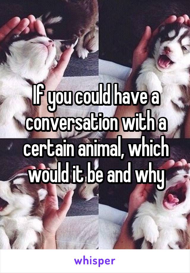 If you could have a conversation with a certain animal, which would it be and why