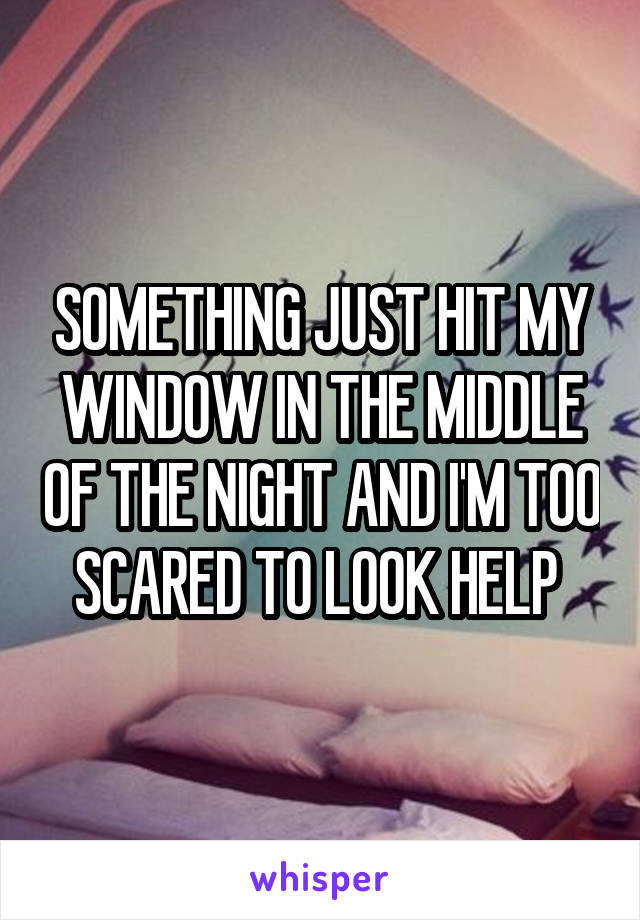 SOMETHING JUST HIT MY WINDOW IN THE MIDDLE OF THE NIGHT AND I'M TOO SCARED TO LOOK HELP 