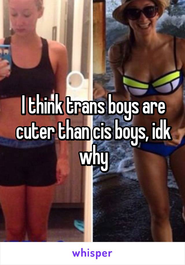I think trans boys are cuter than cis boys, idk why