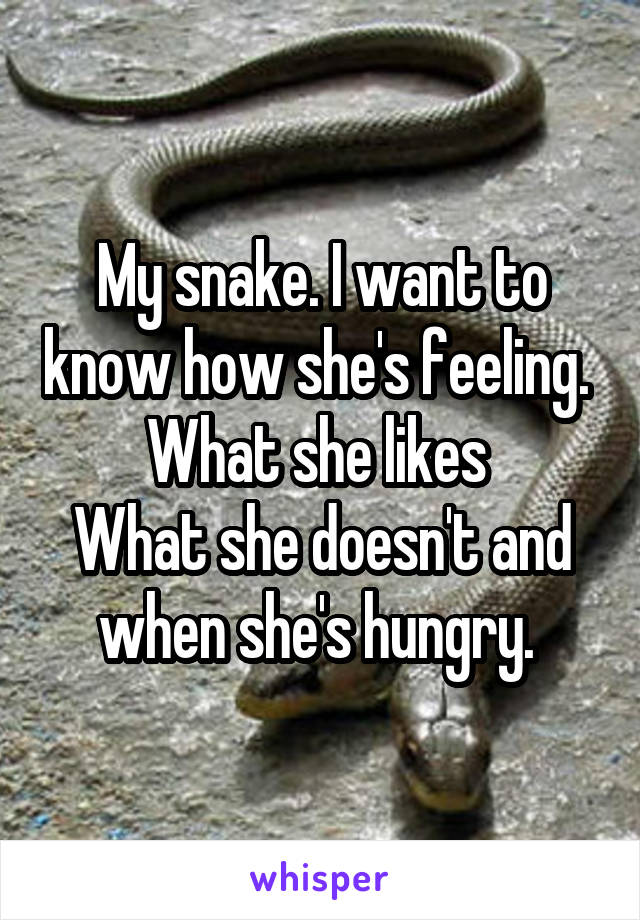 My snake. I want to know how she's feeling. 
What she likes 
What she doesn't and when she's hungry. 