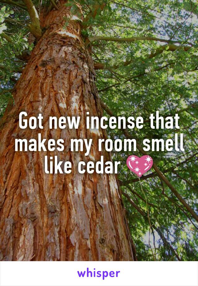 Got new incense that makes my room smell like cedar 💖