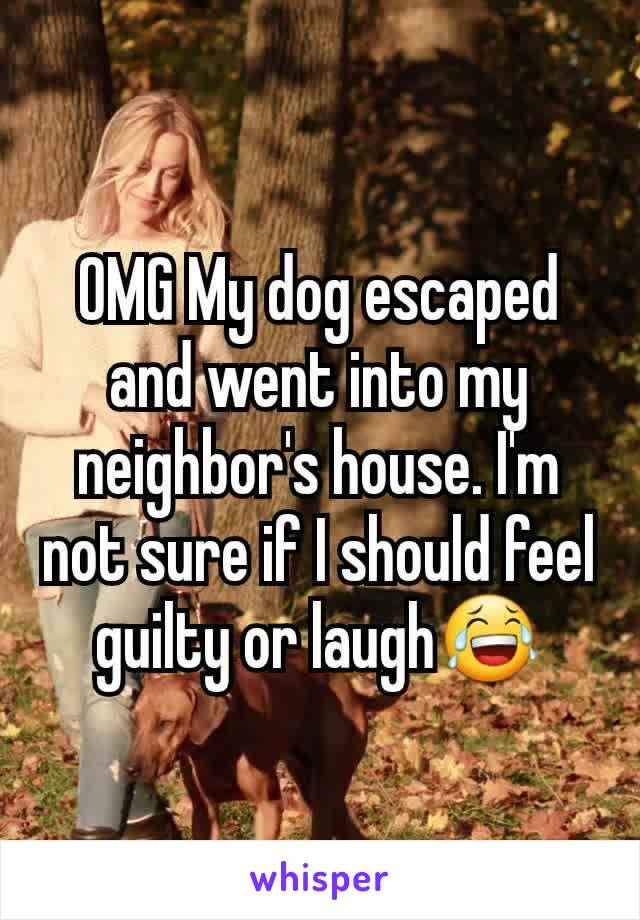 OMG My dog escaped and went into my neighbor's house. I'm not sure if I should feel guilty or laugh😂