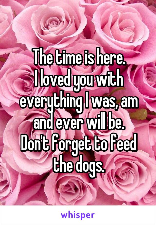 The time is here.
I loved you with everything I was, am and ever will be.
Don't forget to feed the dogs.