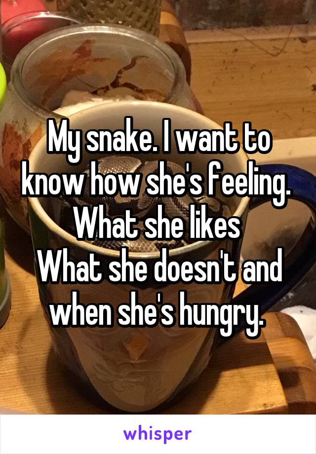 My snake. I want to know how she's feeling. 
What she likes 
What she doesn't and when she's hungry. 
