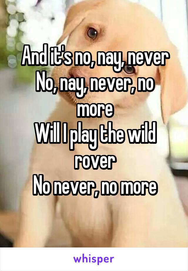 And it's no, nay, never
No, nay, never, no more
Will I play the wild rover
No never, no more
