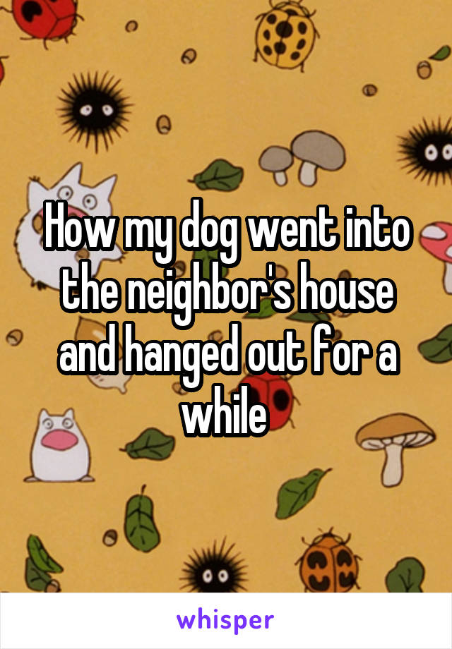 How my dog went into the neighbor's house and hanged out for a while 