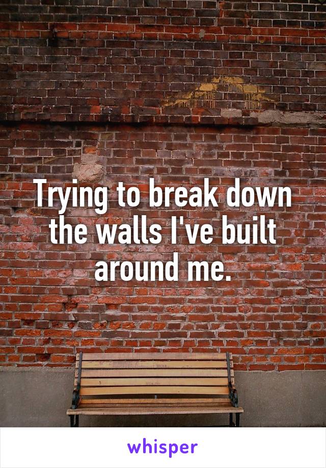Trying to break down the walls I've built around me.