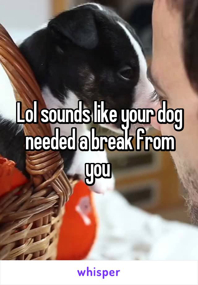 Lol sounds like your dog needed a break from you 
