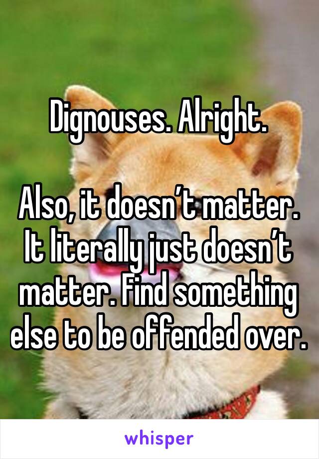 Dignouses. Alright. 

Also, it doesn’t matter. It literally just doesn’t matter. Find something else to be offended over. 