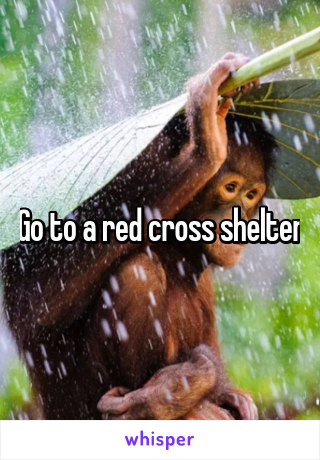 Go to a red cross shelter