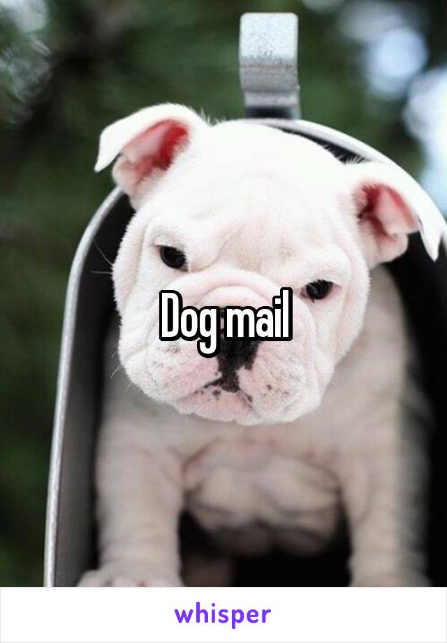 Dog mail