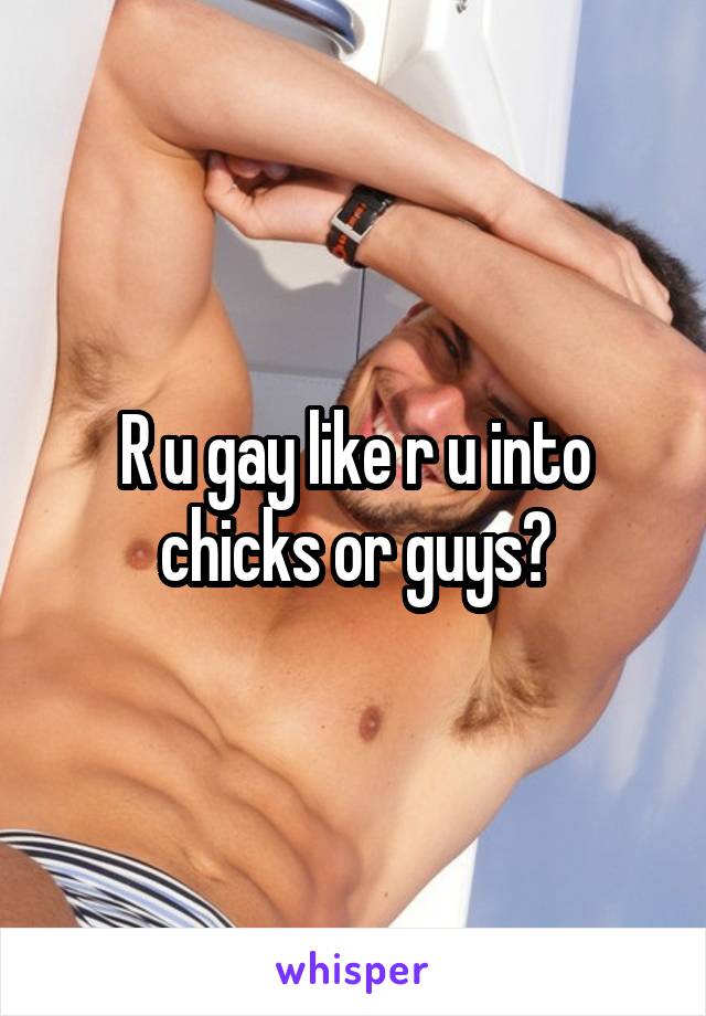 R u gay like r u into chicks or guys?